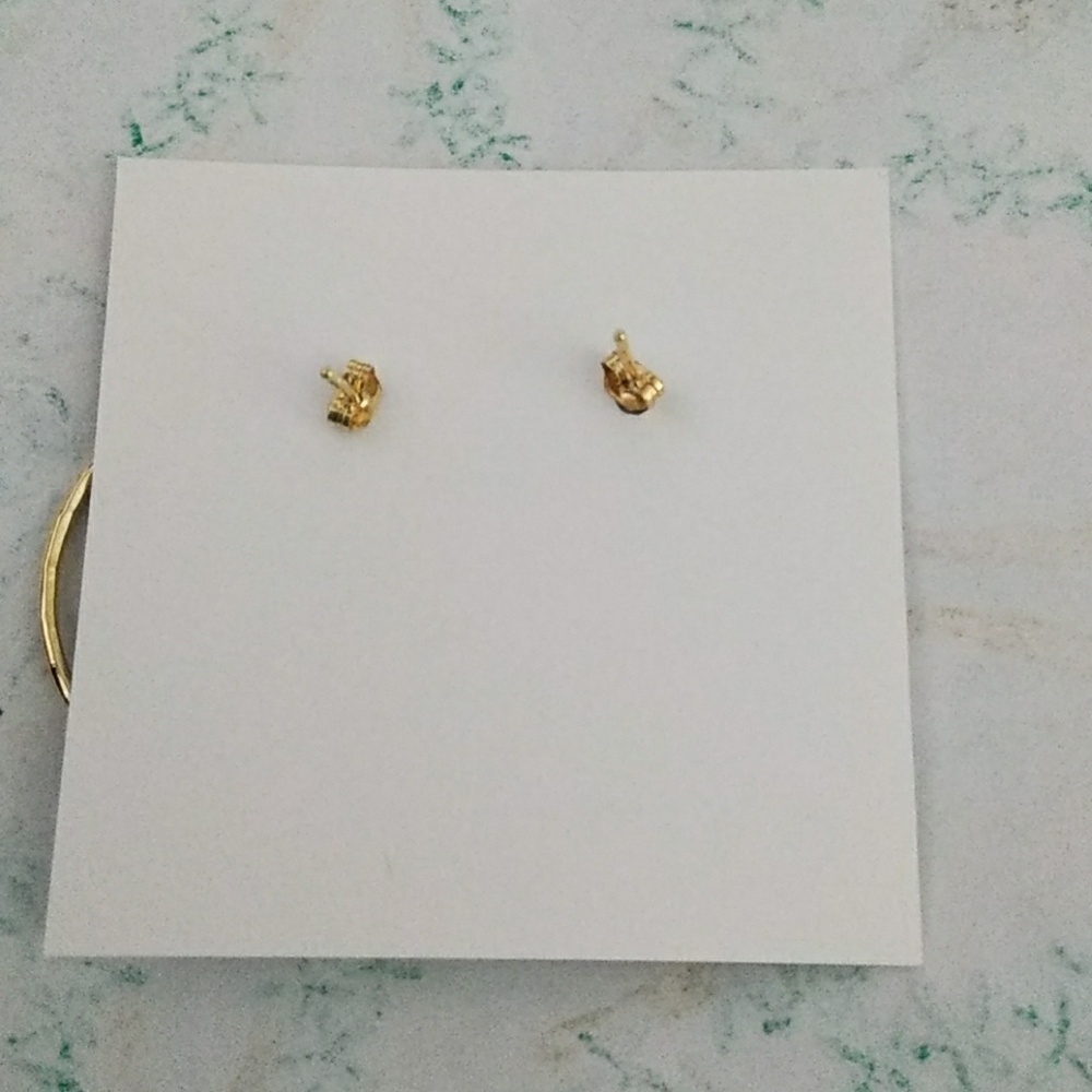 Simple + Chic Pacific Hoops Earrings - image 2